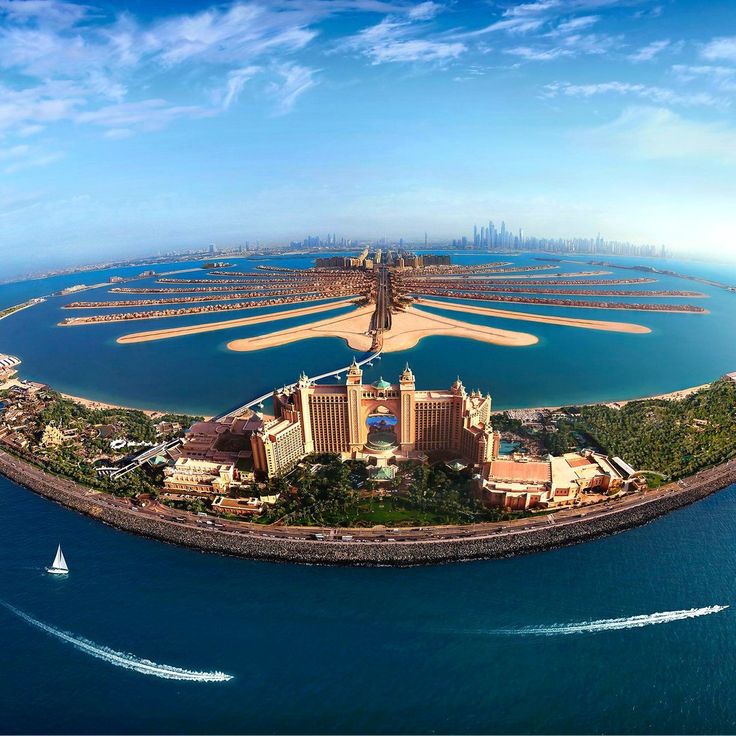 Palm Deira, photographed by Keyva